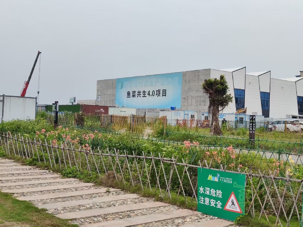 南沙魚(yú)菜共生項(xiàng)目